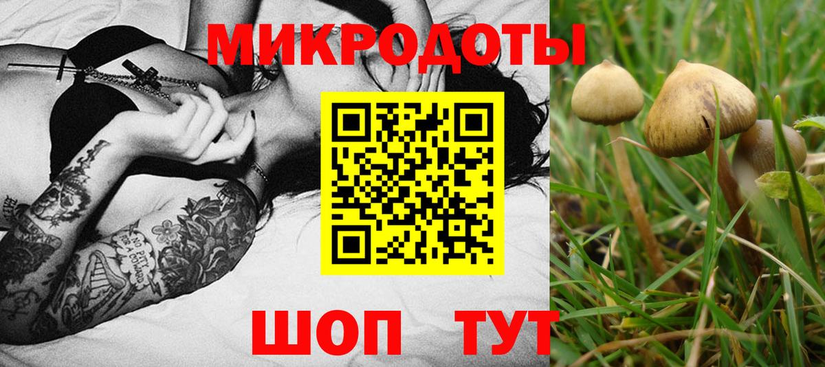 Спасск-Дальний  купить  сайты  Галлюциногенные грибы GOLDEN TEACHER  Вход с VPN  Псилоцибиновые грибы мухоморы 